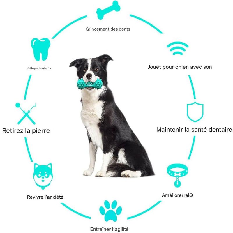 IntiMeg Balle pour chien en caoutchouc naturel