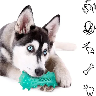 IntiMeg Balle pour chien en caoutchouc naturel