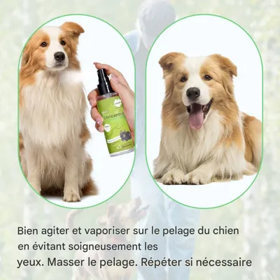 FurryFusion Parfum et désodorisant pour animaux de compagnie