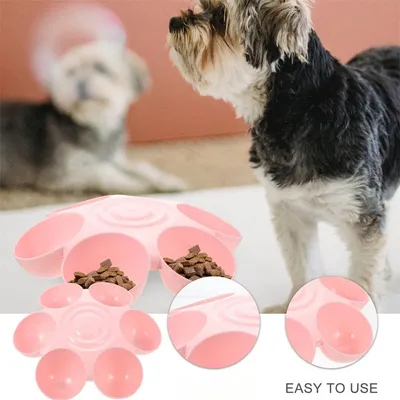 IntiMeg Gamelle pour chat avec 6 gamelles