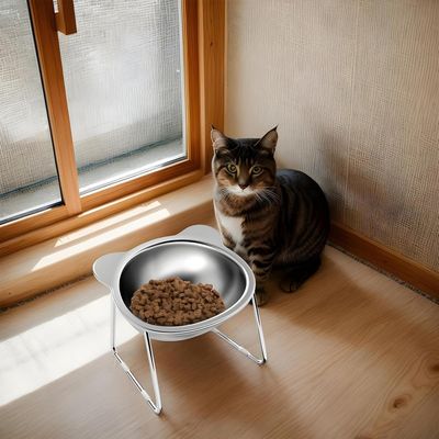 UAMLY Cuenco poco profundo para gatos