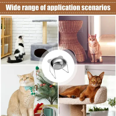 UAMLY Gamelle peu profonde pour chat