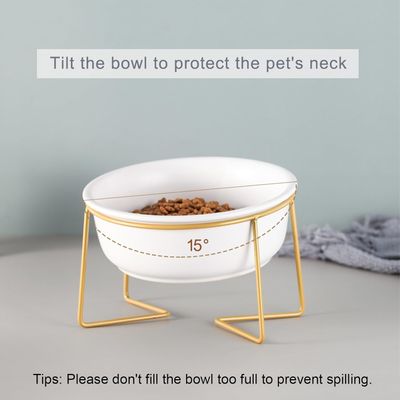 UAMLY Comedero de cerámica elevado e inclinado para gatos