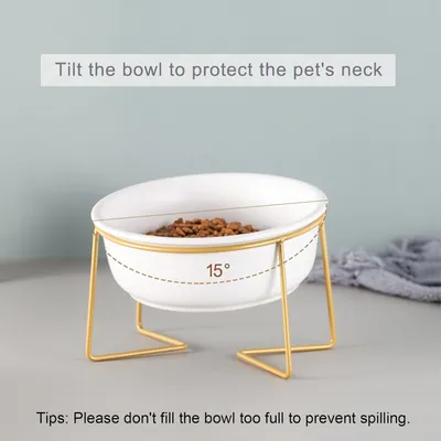 UAMLY Gamelle surélevée inclinée en céramique pour chat