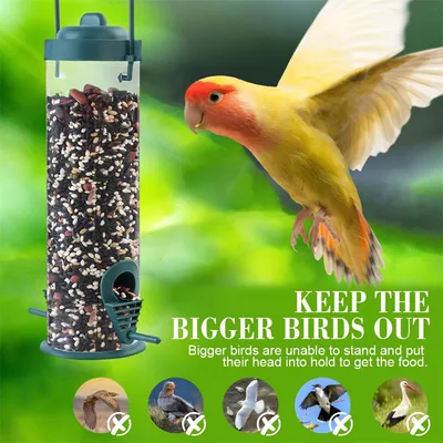 IntiMeg Mangeoire à oiseaux suspendue