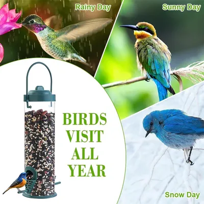 IntiMeg Mangeoire à oiseaux suspendue