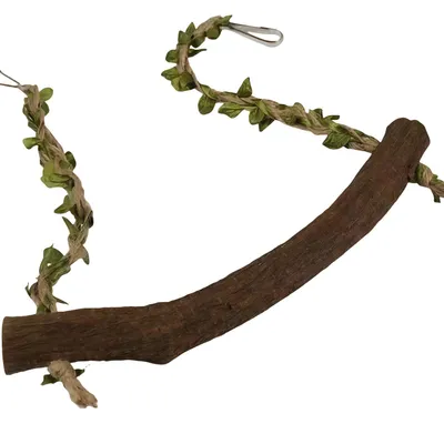 FurryFusion balançoire à oiseaux en bois