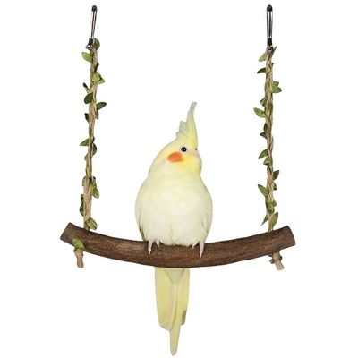 FurryFusion balançoire à oiseaux en bois