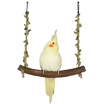 FurryFusion balançoire à oiseaux en bois FurryFusion balançoire à oiseaux en bois