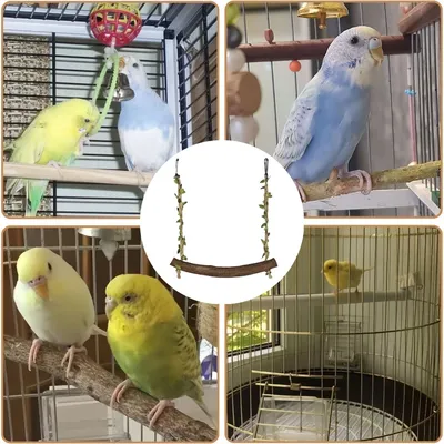 FurryFusion balançoire à oiseaux en bois