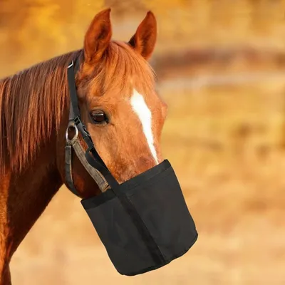FurryFusion Bolsas de alimento para caballos