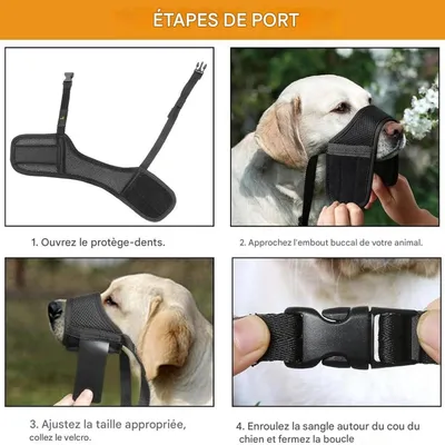 FurryFusion Muselière pour chien
