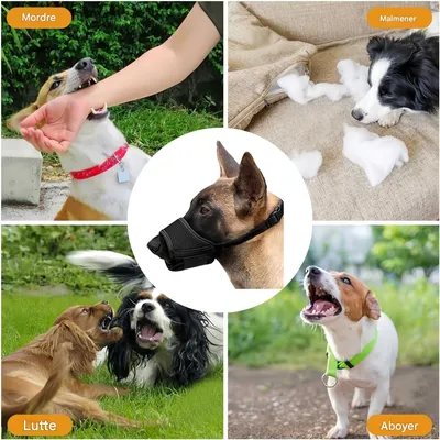 FurryFusion Muselière pour chien