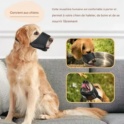 FurryFusion Muselière pour chien