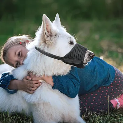 FurryFusion Muselière pour chien