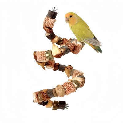 FurryFusion Jouet pour oiseaux à échelle d'escalade