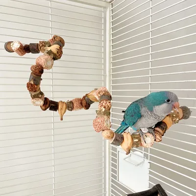 FurryFusion Jouet pour oiseaux à échelle d'escalade