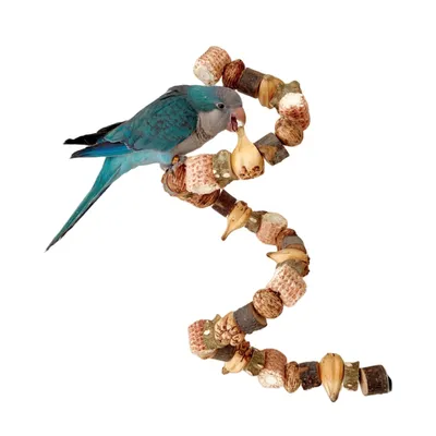 FurryFusion Jouet pour oiseaux à échelle d'escalade