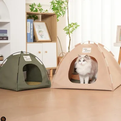 Tente Oxford pour chat