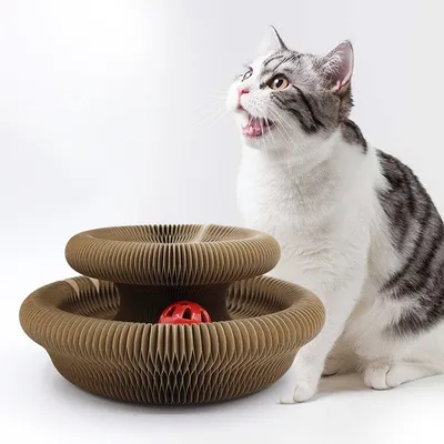 lzefia Griffoir et jouet en accordéon pour chat