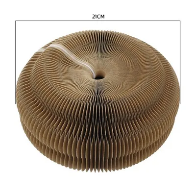 lzefia Griffoir et jouet en accordéon pour chat