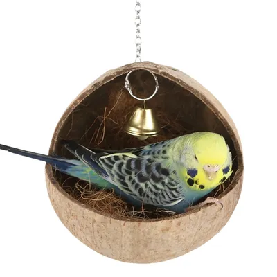 FurryFusion Nid en coquille de coco pour perroquet
