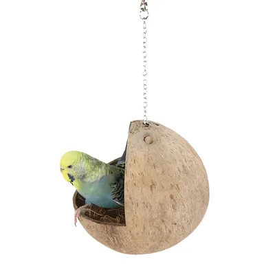 FurryFusion Nid en coquille de coco pour perroquet