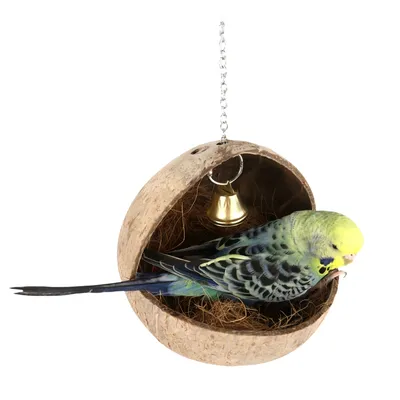 FurryFusion Nid en coquille de coco pour perroquet