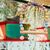 Pet Planet Perroquets Swing Jouet