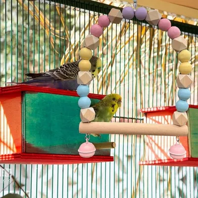 ZooVenture Amusante Balançoire En Bois Pour Oiseaux