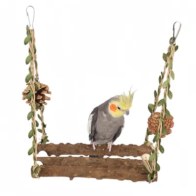 FurryFusion Jouet balançoire pour perroquet