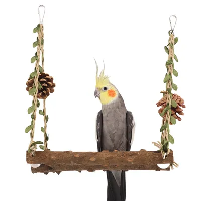 FurryFusion Jouet balançoire pour perroquet