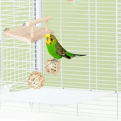 Pet Planet Oiseaux Balançoire Plateforme Jouet