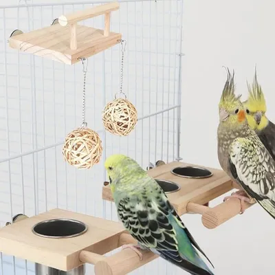 Pet Planet Oiseaux Balançoire Plateforme Jouet