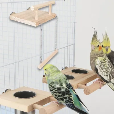 ZooVenture Jouet balançoire plateforme pour oiseaux