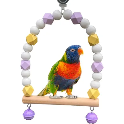 ZooVenture Amusante Balançoire En Bois Pour Oiseaux