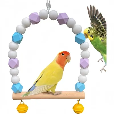 ZooVenture Amusante Balançoire En Bois Pour Oiseaux