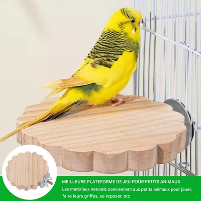 ZooVenture Bois 3 Pièces Tremplin Perchoirs pour Oiseaux et Hamster