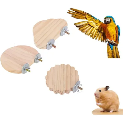 ZooVenture Bois 3 Pièces Tremplin Perchoirs pour Oiseaux et Hamster