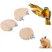 ZooVenture Bois 3 Pièces Tremplin Perchoirs pour Oiseaux et Hamster