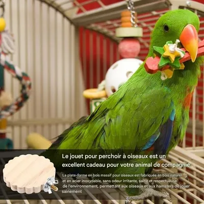 ZooVenture Bois 3 Pièces Tremplin Perchoirs pour Oiseaux et Hamster