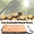 Pet Planet Perroquets Perchoir En Bois