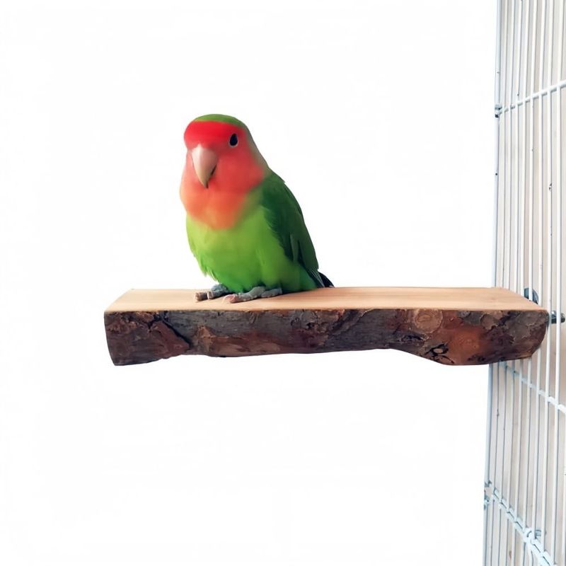 Pet Planet Perroquets Perchoir En Bois