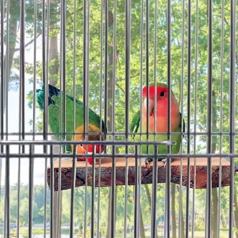 Pet Planet Perroquets Perchoir En Bois