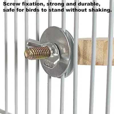 Pet Planet Perroquets Plateforme En Bois Massif