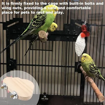 Pet Planet Perroquets Plateforme En Bois Massif