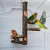 Pet Planet Perroquets Perchoir En Bois De Pommier