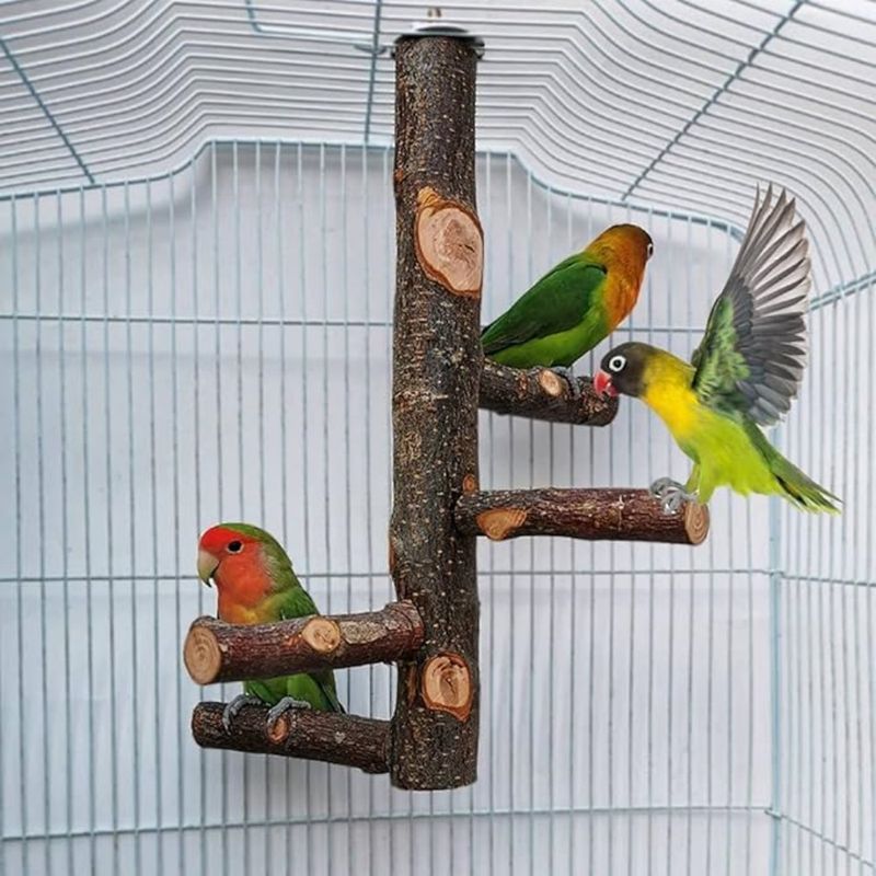Pet Planet Perroquets Perchoir En Bois De Pommier