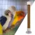 ZooVenture Portable Perchoir pour Oiseaux