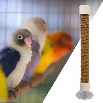 ZooVenture Portable Perchoir pour Oiseaux